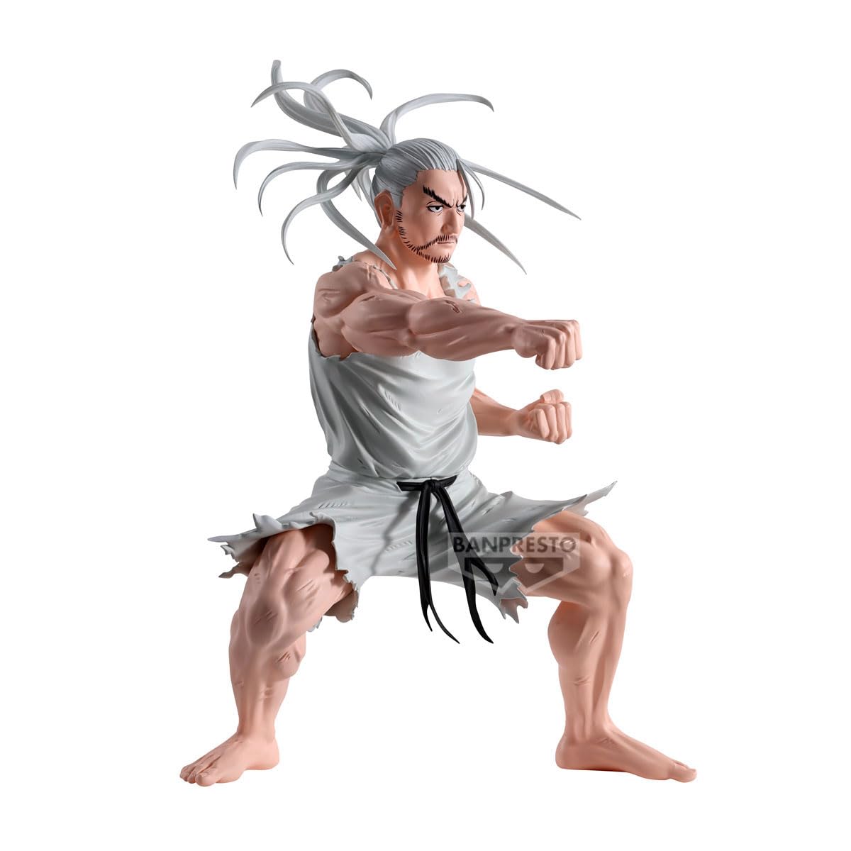 Amazon.com: Banpresto - Hunter x Hunter - Netero Hunting Archives